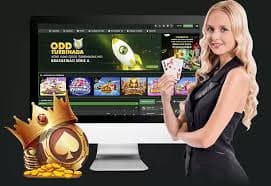 spinbet99